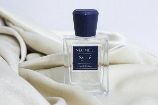 Syraé - Our version of Symphony by Lv